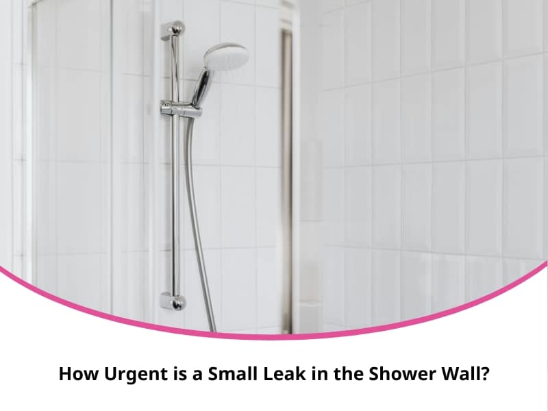 Clean white tiled shower with handheld head showing contrast to signs of shower wall leak urgency.